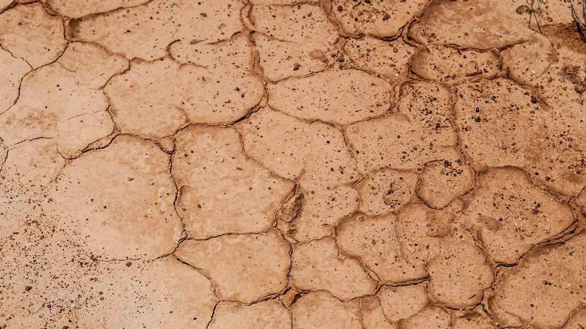 Sol argileux craquelé par la sécheresse, à l’origine du retrait-gonflement des argiles