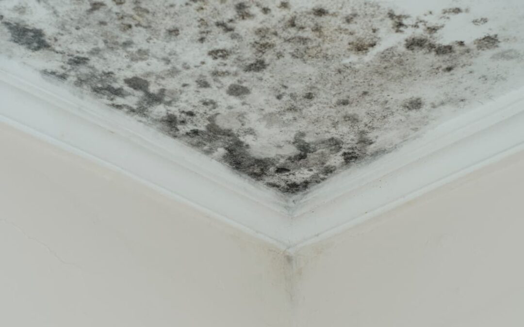 Pont thermique : comprendre, détecter et traiter les faiblesses thermiques dans le bâtiment