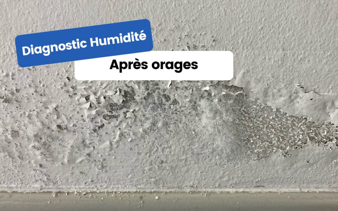 Diagnostic humidité maison : une étape essentielle après les orages à Toulouse