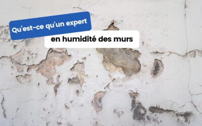 Qu’est-ce qu’un expert en humidité des murs ?