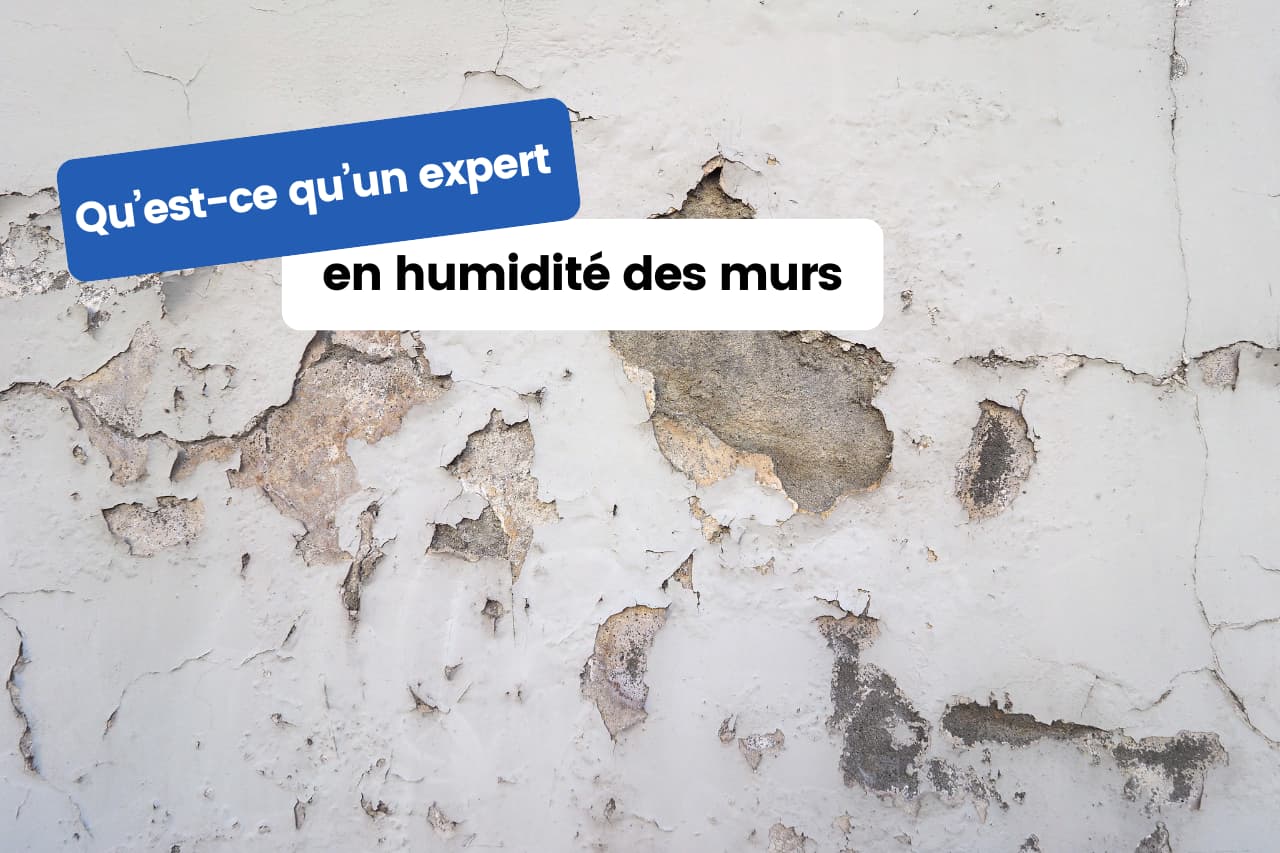 expert en humidité des murs expert en humidité des murs